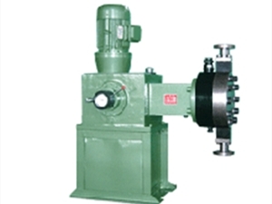 JDM��ĤӋ����